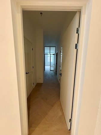 IMG_1600 Medium.jpeg